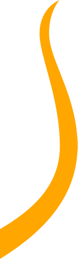 Home Shape 3